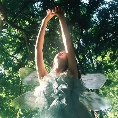 精灵梦叶罗丽X光浮尘